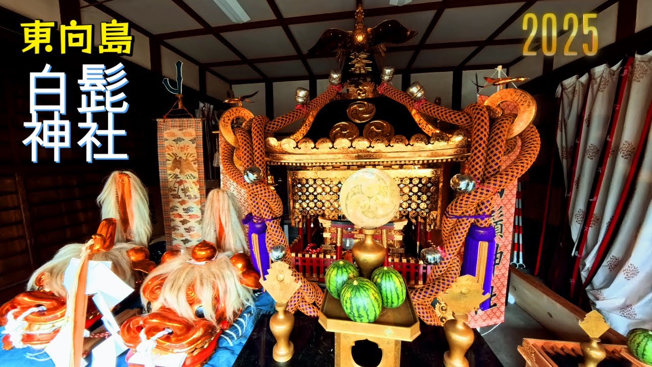 令和7年 東向島🔹白髭神社 御祭禮 上睦神輿立派な渡御👊😉ド迫力です