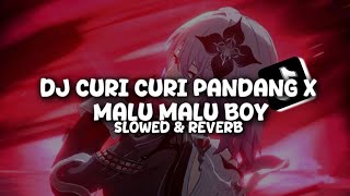 DJ CURI CURI PANDANG X MALU MALU BOY ( Slowed & Reverb )