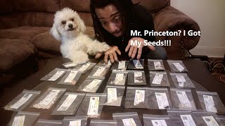 5 Seeds To Plant Again In Mid to Late June From! Succession Planting Made Easy - #gardening #how