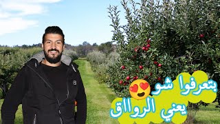 جولتي لسهل الزبداني ومضايا بريف دمشق.. الرواء A tour in Madaya and AlZabadani plain syria 2021