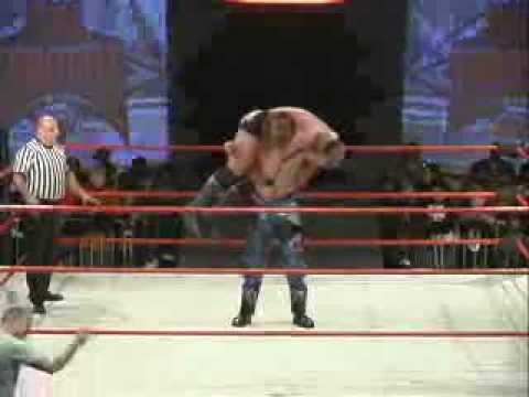 Lance Hoyt Photo 7