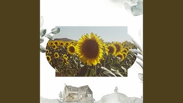 Modish Backdrops for Relaxing and Reading Time