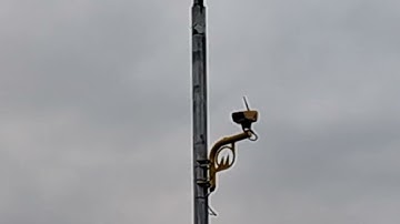 High Survalliance Area