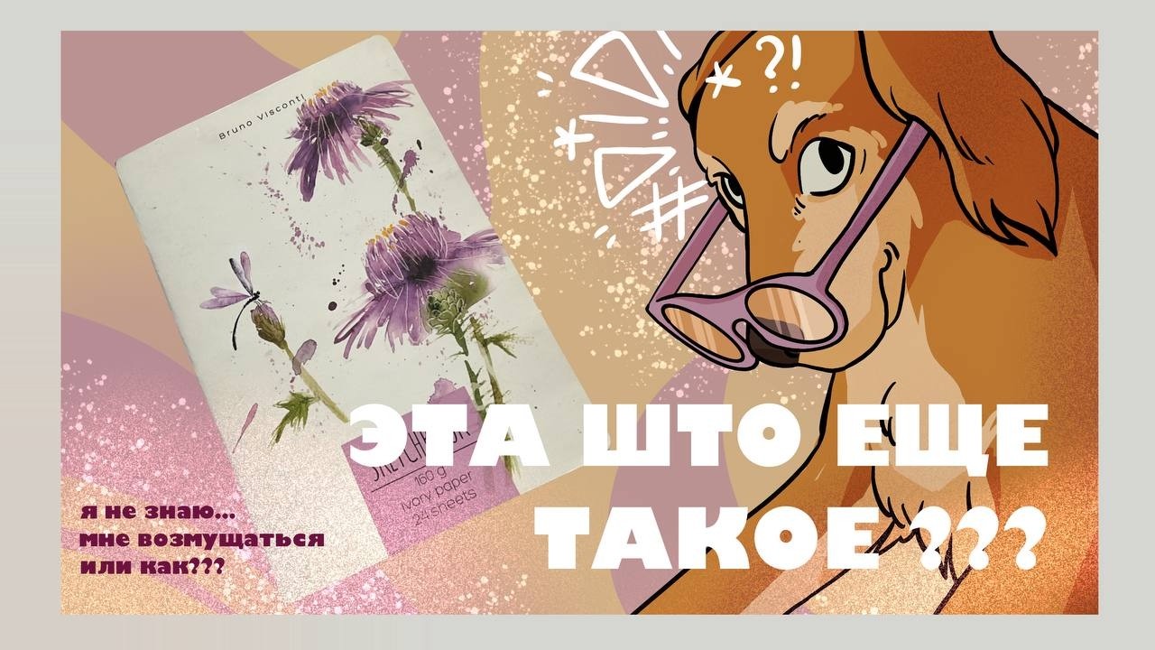 МИНИ ОБЗОР СКЕТЧБУКА Bruno Visconti под рисование пиратов