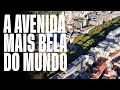 A avenida mais bela do mundo  vida nas caladas arquitetura verde acessibilidade e at gua