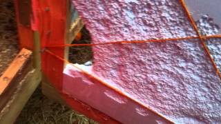 chicken coop insulation fail backyard