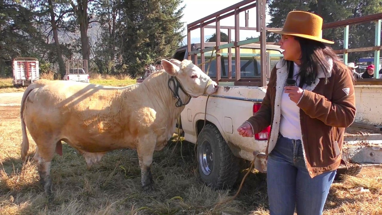 Nueva presentadora: ¡Andry nos enseña los secretos del mercado! 🐂✨