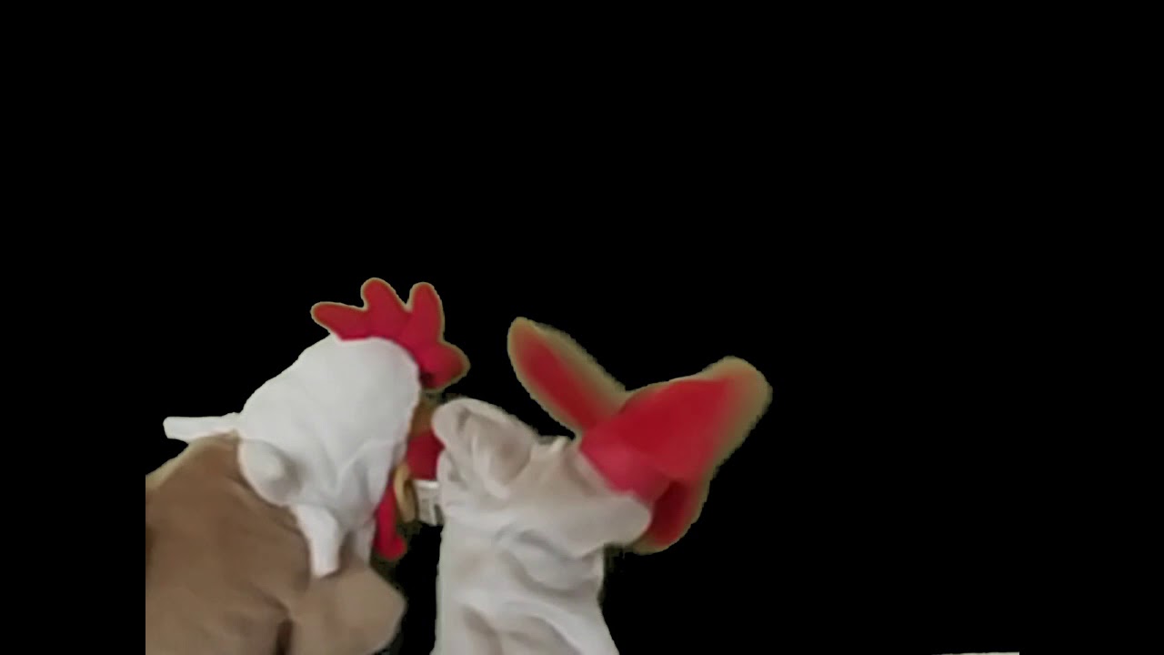 baby einstein dog puppet