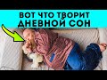 Нужно ли взрослым спать днём? Вот что творит дневной сон с твоим телом