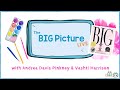 The BIG Picture LIVE with Vashti Harrison, host Andrea Davis Pinkney kidlit tv