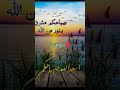 اجمل صباح لاطیب الناس دعاء Peace ترند Explore Quran Prayer Shortvideo همسات Islamicdua 