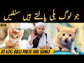 Jo log billi cat palte hai sunle  mufti tariq masood  aap ke masail ka hal