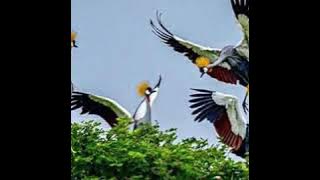 mind your business by Lee medication ft sunami era