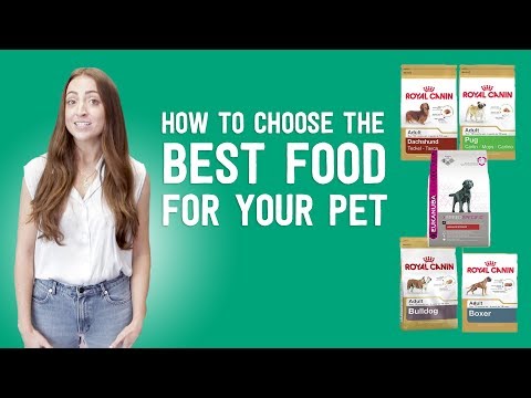 Video: Kies het allerbeste voedsel voor uw hond