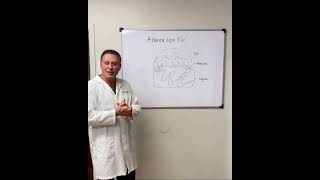 Target Areas During SmartLipo | Atlanta Liposuction