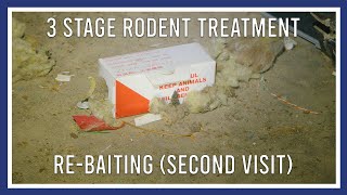 3 stage rodent treatment: re-baiting (second visit) by PGH Pest Prevention 22 views 2 years ago 3 minutes, 35 seconds