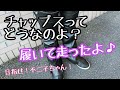【バイクの防寒アイテム】チャップスやばい最高！