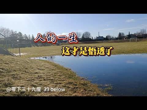 人生感悟24——人的一生，这才是悟透了。沉默，与人相处，逢场作戏，独善其身，顺其自然。（20230624）