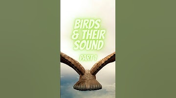 Exploring Bird Names and Their Enchanting Sounds - Part 1 #shorts #birdsounds #animals
