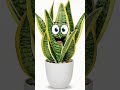 Snake Plant Talk 😂
