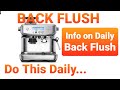 How to BACK FLUSH daily | Breville Barista Pro