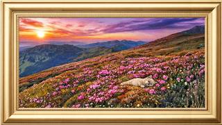 Cat Laying in Wildflower Meadow at Sunset | TV Frame Screen Saver Oil Painting Impressionism Art screenshot 5