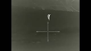 Deer Hunting Australia Thermal Crossbow