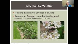 2024 Spring Fever Garden Forums:  Aronia are Easy by NDSUExtension 158 views 1 month ago 35 minutes