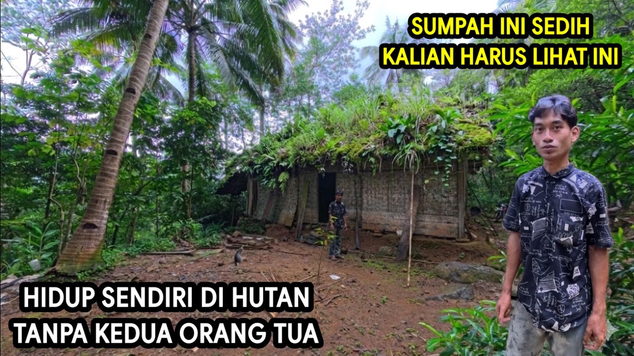 KEDUA ORANG TUA NYA MENINGGAL PEMUDA TAMPAN YATIM PIATU KINI HIDUP SENDIRI DI HUTAN
