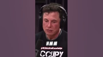 Joe Rogan & Elon Musk Discuss The Potential Danger Of Ai.