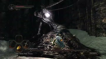 Nashandra SL1 CoC No Rolling/Blocking/Parrying (flawless)