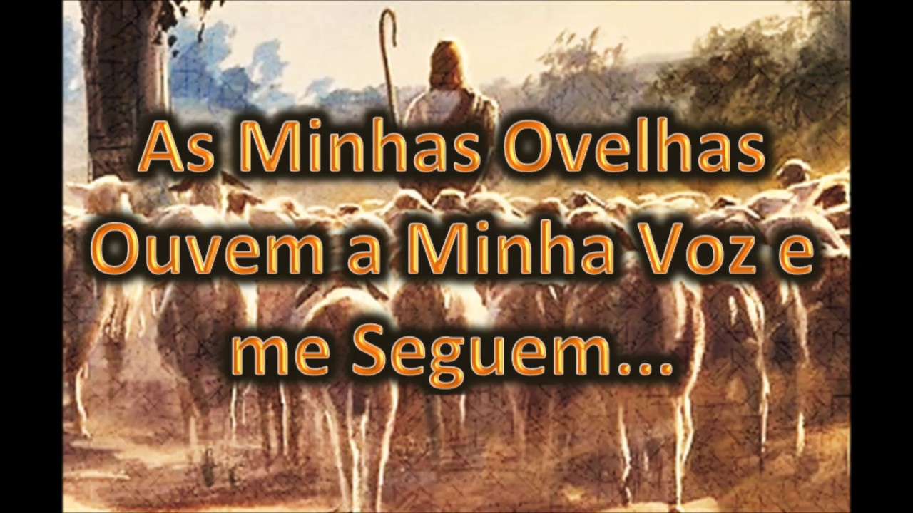 AS MINHAS OVELHAS OUVEM A MINHA VOZ E ME SEGUEM - LAURO MAXIAS - YouTube