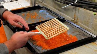 Harvesting Salmon Eggs and Artificial Insemination – Dungeness Hatchery