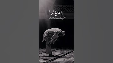 شيخ سعد الغامدي اجمل حالات واتس اب دينية سورة الطلاق ومن يتوكل على الله فهو حسبه.. 🌿🖤