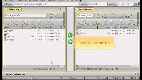 Managing files and directories via WS_FTP