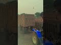 “छोटा Tractor लेकिन Power जबरदस्त 😳 | Mini Tractor Field Demo | Indian Farming Machine #shorts”