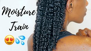 HOW TO MOISTURE TRAIN NATURAL HAIR - Key Tips To Maintaining Healthy Hair and NO MORE DRY HAIR