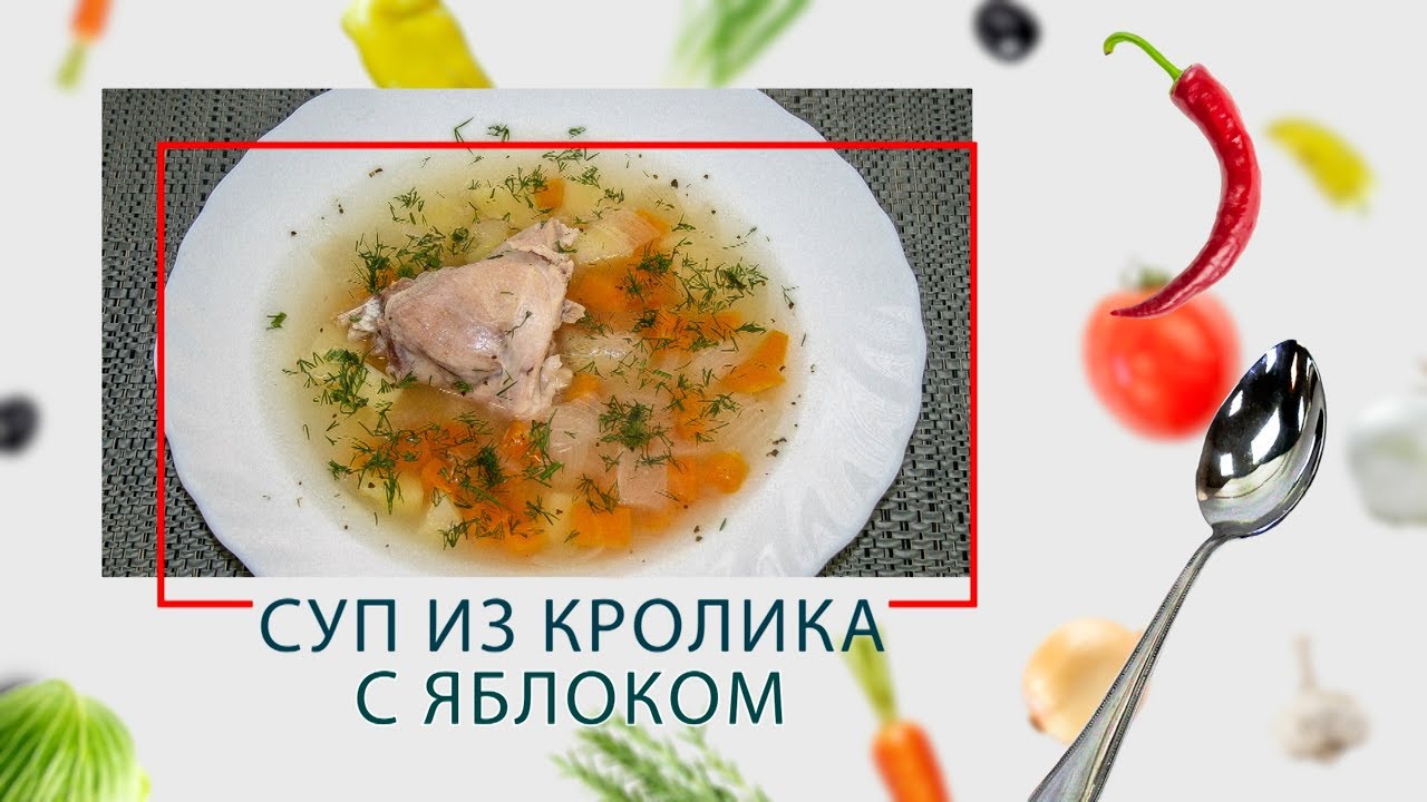 Суп из кролика с яблоком в ARC&ndash;QDL-514D
