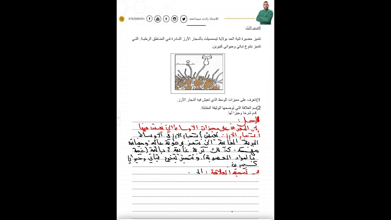 تمرين على العلاقات الغذائية ثانية متوسطة