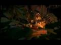 Surf's Up Clip 10