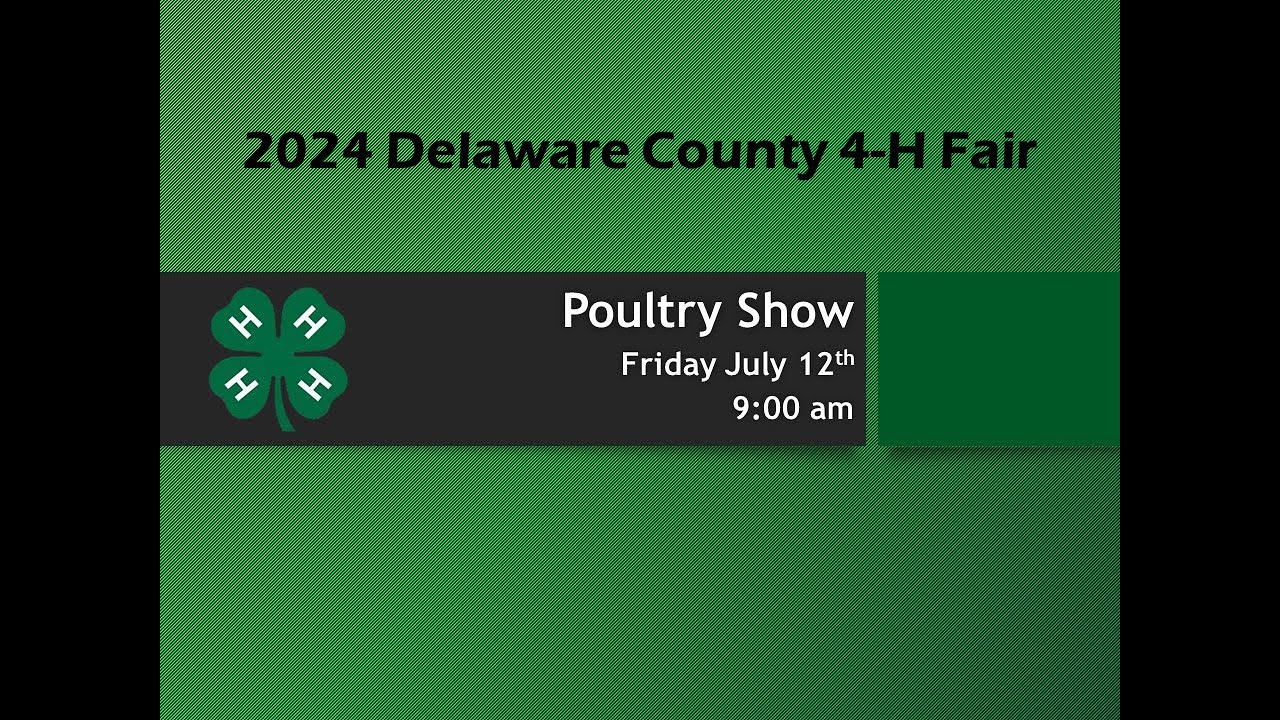 2024 Delaware County 4-H Fair Poultry Show