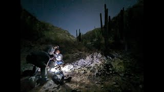 WFA & WFR Baja California Sur Spring 2024 Recap