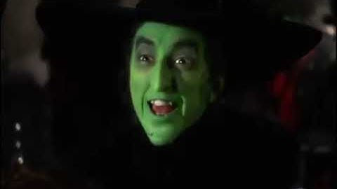 Wizard Of Oz Wicked Witch, I