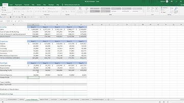 5_Module 9 Holoease- Income Statement