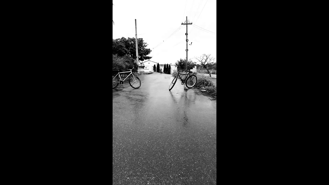 GRAU É  ARTE NÃO  ARTIGO