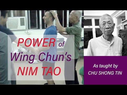 Video POWER of Wing Chun's 
