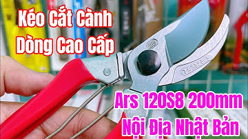 [ Tập 1782 ] Kéo cắt cành cao cấp Ars 120S8 200mm nội địa Nhật Bản
