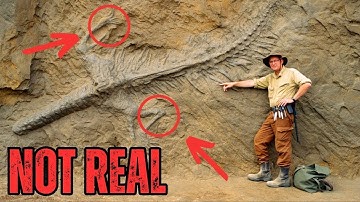 How Fake Dinosaur Fossils Fooled Scientists for DECADES?