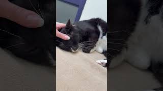 Minnow - big chill sweet potato loverboy!