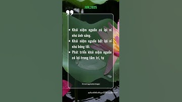 #144 Triết Lý Giáo Dục Tận Gốc #thauhieunoitamkientaoanvui #cauchuyennoitam #wit #baihoccuocsong